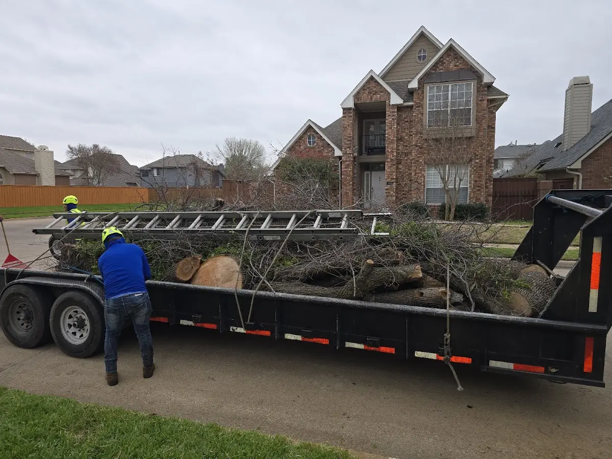 Expert Lot Clearing with proper safety equipment in Freeland